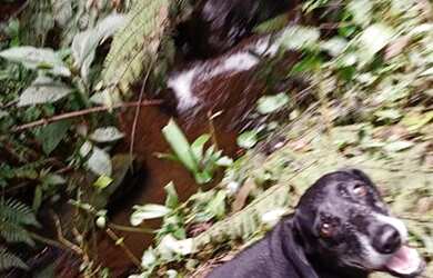 Imagem 11: Rancho pescarias em frente ao poção 120 mil reais
