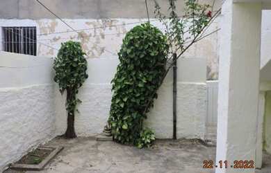 Imagem 5: Locação Residential / Home Jardim São Paulo São Paulo