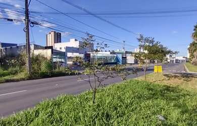 Imagem 2: Lote 600 m2 Av Rio Verde Aparecida de Goiânia Goiás