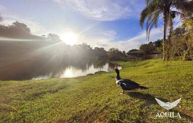 Imagem 15: Terreno à venda, 1000 m² por R$ 299.000,00 - Condomínio Terras de São Lucas - Sorocaba/SP