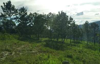 Imagem 7: Lote/Terreno para venda tem 1000 metros quadrados em Usina - Atibaia -...