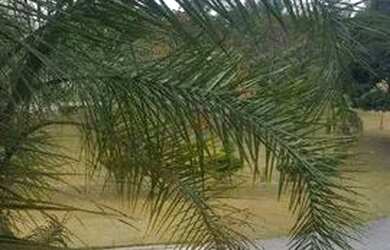 Imagem 3: Terreno en Condomínio para venda em Condomínio Jardim Europa de 800.00m²