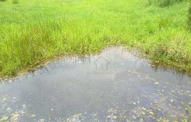 Imagem 3: Fazenda à venda, 900000 m² por R$ 4.000.000,00 - Parada Modelo - Guapimirim/RJ