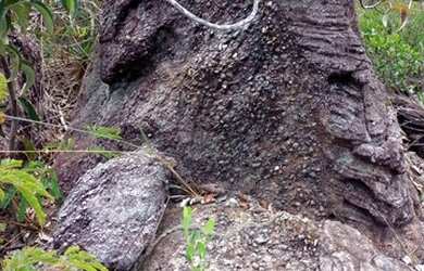 Imagem 9: Fazenda 2.139ha Pecuária Lavouras Jazidas Diamantina MG