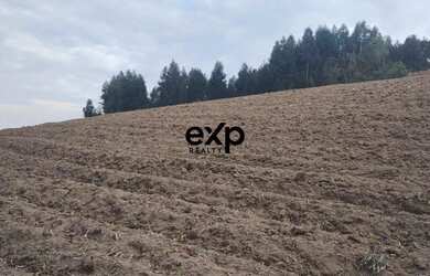 Imagem: A fazenda possui 31.460m² de Área e está localizado em Agudos