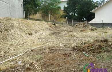 Imagem 9: TERRENO - JARDIM RINCÃO - SP