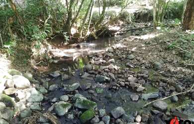 Imagem 12: Sítio / Chácara para Venda em Nova Petrópolis, Linha Temerária