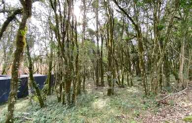 Imagem 6: Terreno em Condomínio - Bairro Pinheiro Grosso