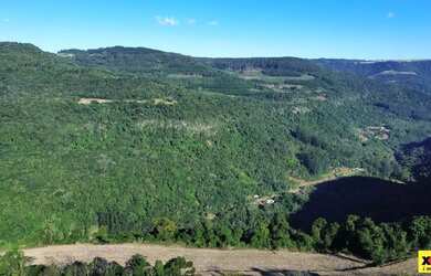 Imagem 5: Sítio / Chácara para Venda em Nova Petrópolis, Pinhal Alto