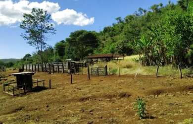 Imagem 15: Fazenda 53 Alqueires 20 km Niquelândia Goiás