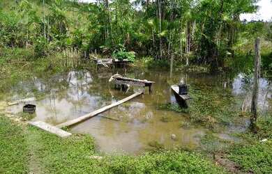 Imagem 13: 62 alqueires no Pará a ,zap R$ 2.500.000,00