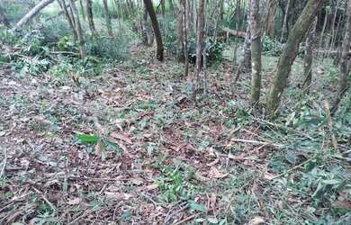 Imagem 4: Lote / terreno em Juquitiba