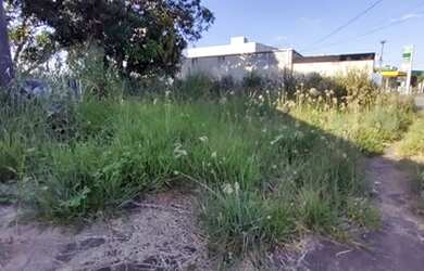 Imagem 9: Lote 600 m2 Av Rio Verde Aparecida de Goiânia Goiás