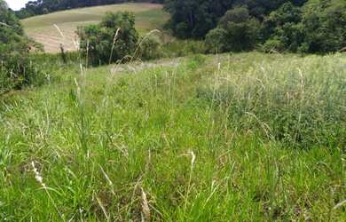 Imagem 10: Lote/Terreno para venda possui 1000 metros quadrados em Veloso - Osasco...