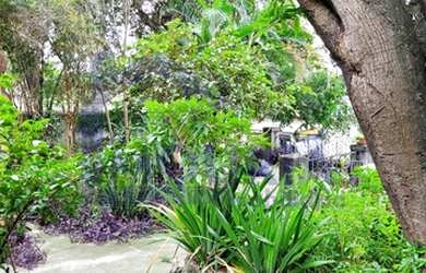 Imagem 9: Terreno para venda com 1600 metros quadrados em Bonsucesso