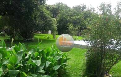 Imagem 5: Fazenda à venda, 1920000 m² por R$ 7.000.000,00 - 1044 - Cabeceira Grande/MG