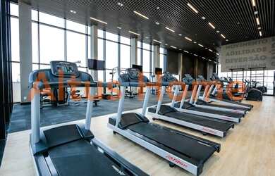 Imagem 3: Apartamento Alto Padrão para Venda em Pinheiros São Paulo-SP - 41-29001-T