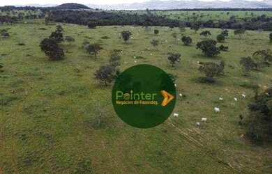Imagem 3: Fazenda à venda, 1419088 m² por R$ 7.330.000,00 - Zona Rural - Fazenda...