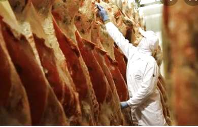 Imagem: O depósito está localizado em Panazzolo, Caxias do Sul à