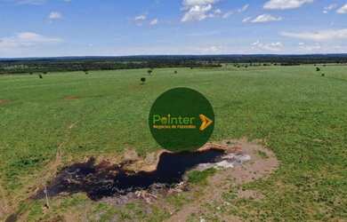 Imagem 8: Fazenda com 3 dormitórios à venda, 5130400 m² por R$ 12.000.000,00...