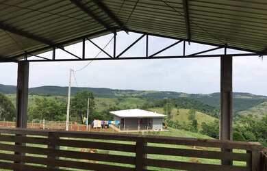 Imagem 9: Extraordinária Fazenda Pecuária no asfalto