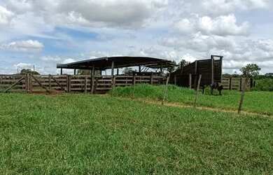 Imagem 10: 120 alqueires paulistas margem do rio aporé - pega 40 permuta