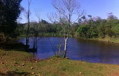 Imagem 15: Extraordinária Fazenda Pecuária no asfalto