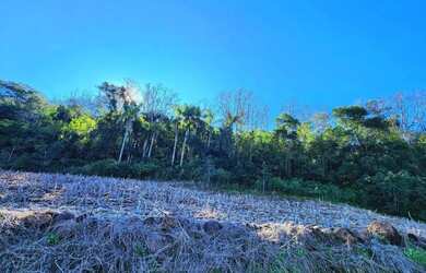 Imagem 12: Sítio / Chácara para Venda em Nova Petrópolis, Pinhal Alto