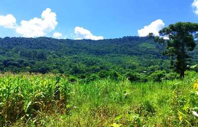 Imagem 4: Sítio / Chácara para Venda em Nova Petrópolis, Stille Eck