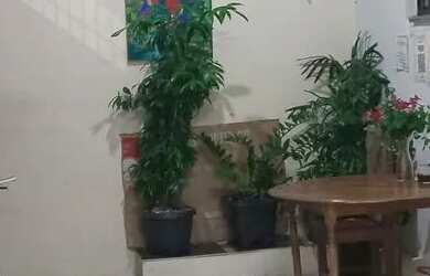 Imagem: A casa possui 4 Dormitórios, 3 Banheiros, 1 Vaga na garagem