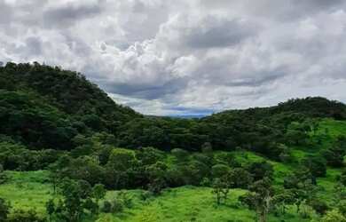 Imagem: A fazenda possui 55m² de Área e Imóvel novo e está localizado