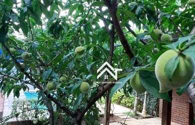 Imagem 11: Casa com Piscina excelente Localização - Oportunidade