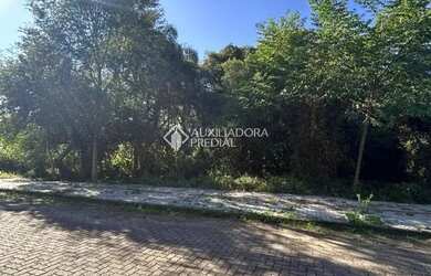 Imagem 5: Terreno à Venda em Nova Petrópolis