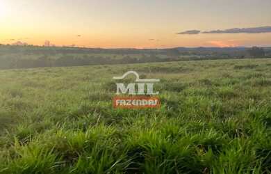 Imagem: A fazenda possui 500m² de Área e está localizado em Caiapônia