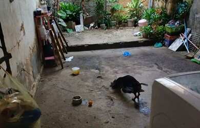 Imagem 2: CASA A VENDA NO BAIRRO FORTALEZA VILA VELHA