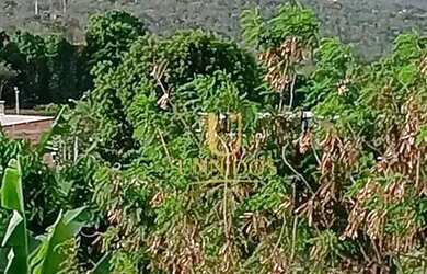 Imagem 5: Casa Novo Horizonte em Alto Paraíso GO - R$ 380.000 reais