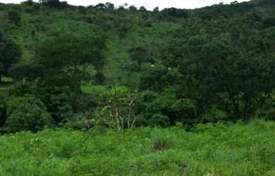 Imagem 13: Fazenda 53 Alqueires 20 km Niquelândia Goiás