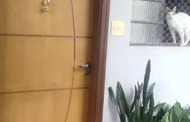 Imagem: O apartamento possui 2 Dormitórios, 1 Banheiro, 78m² de Área