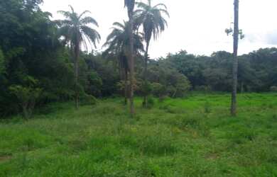Imagem 2: Vc quer fazer plantio tenho um linda fazendinha de 20 mil m² com muita...