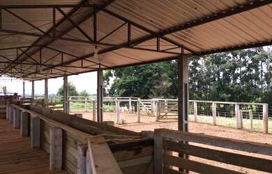 Imagem 16: Extraordinária Fazenda Pecuária no asfalto