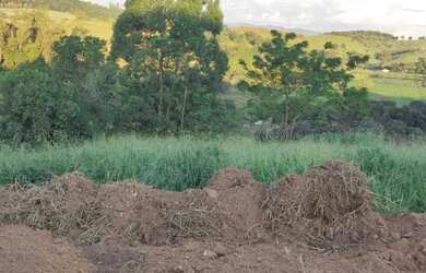 Imagem 5: Lote/Terreno para venda tem 500 metros quadrados em Jardim Tapajós -...