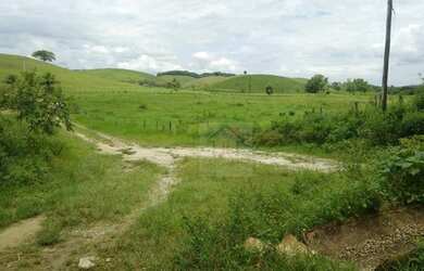 Imagem 9: Fazenda à venda, 900000 m² por R$ 4.000.000,00 - Parada Modelo - Guapimirim/RJ