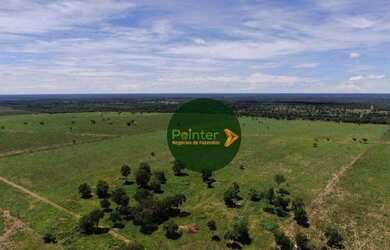 Imagem 5: Fazenda com 3 dormitórios à venda, 5130400 m² por R$ 12.000.000,00...