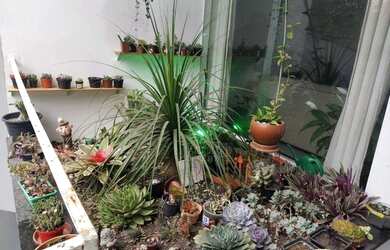 Imagem 11: Sobrado com 4 dormitórios, 289 m² - venda por R$ 999.000,00 ou aluguel...