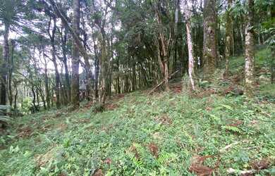 Imagem: O terreno possui 996m² de Área e está localizado em São