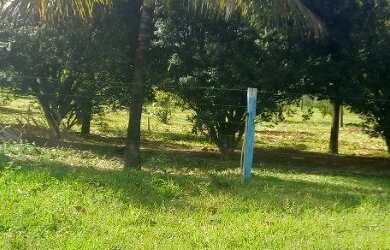 Imagem 6: Fazenda buritis MG proximo a cidade escriturada formada muita água