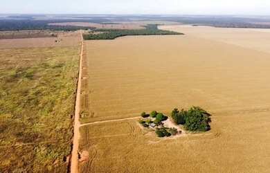 Imagem 2: Fazenda 1200ha - 900ha aberto