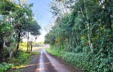 Imagem 11: Sítio / Chácara para Venda em Nova Petrópolis, Pinhal Alto