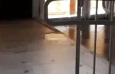 Imagem 5: PRÉDIO - VILA FORMOSA - SP