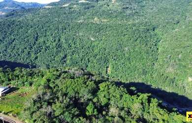 Imagem 3: Sítio / Chácara para Venda em Nova Petrópolis, Pinhal Alto